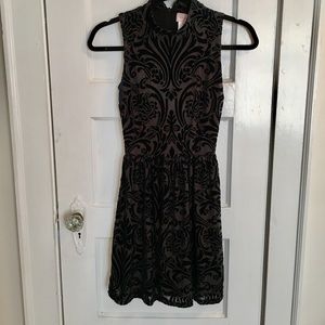 New dark green velvet dress.